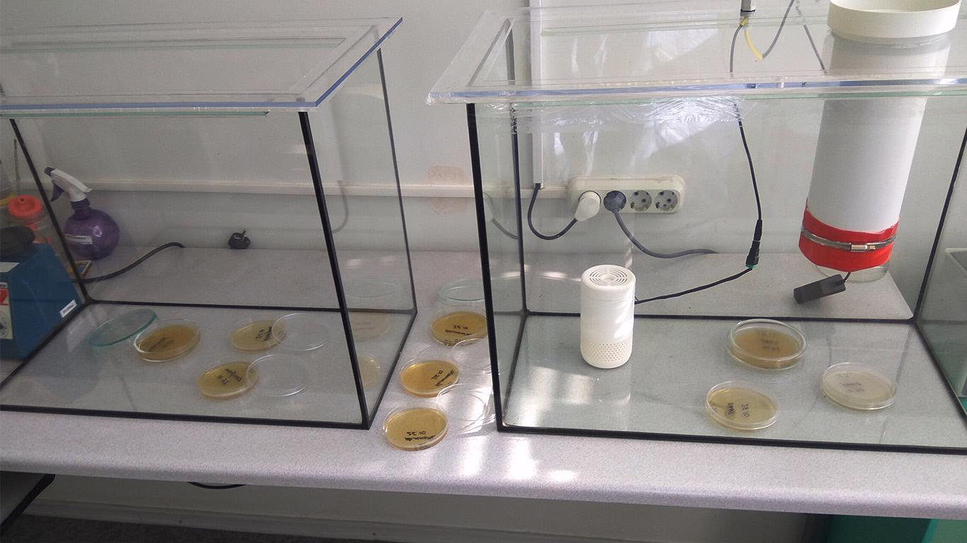 air purifier viruses