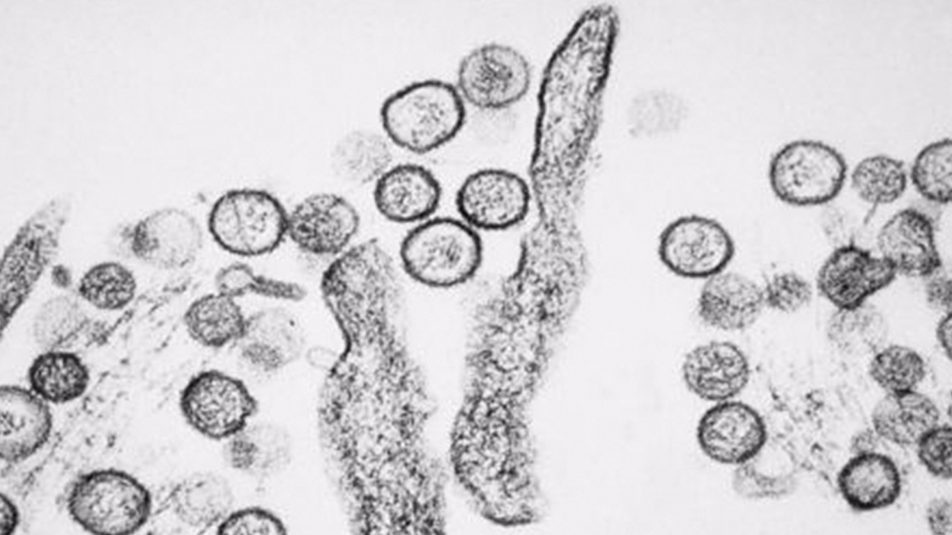 air purifier viruses