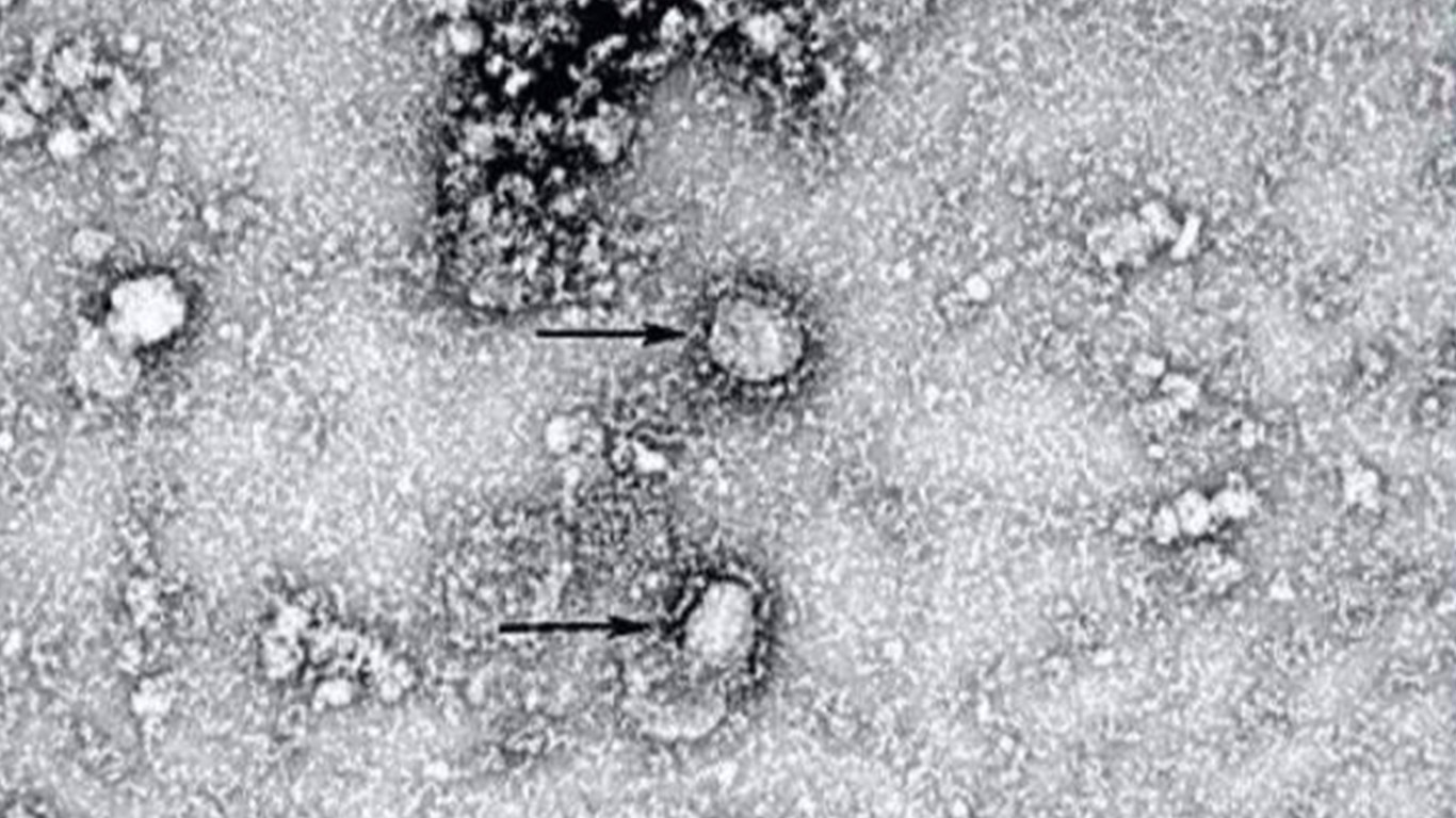 air purifier viruses